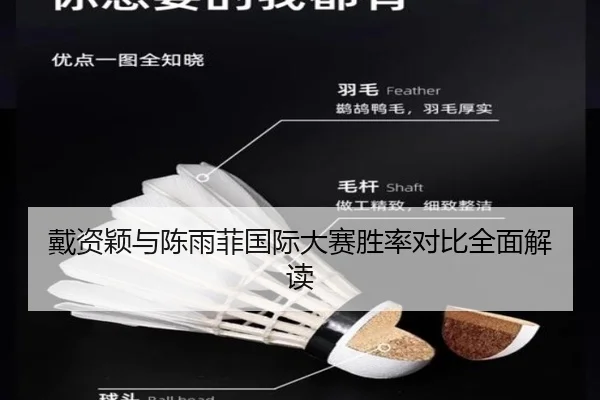 戴资颖与陈雨菲国际大赛胜率对比全面解读